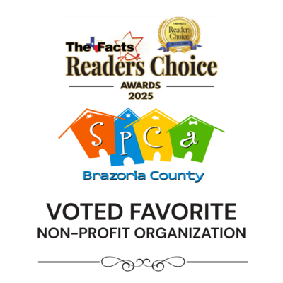 Voted Favorite Non-Profit 2025 - The Facts Readers Choice Awards